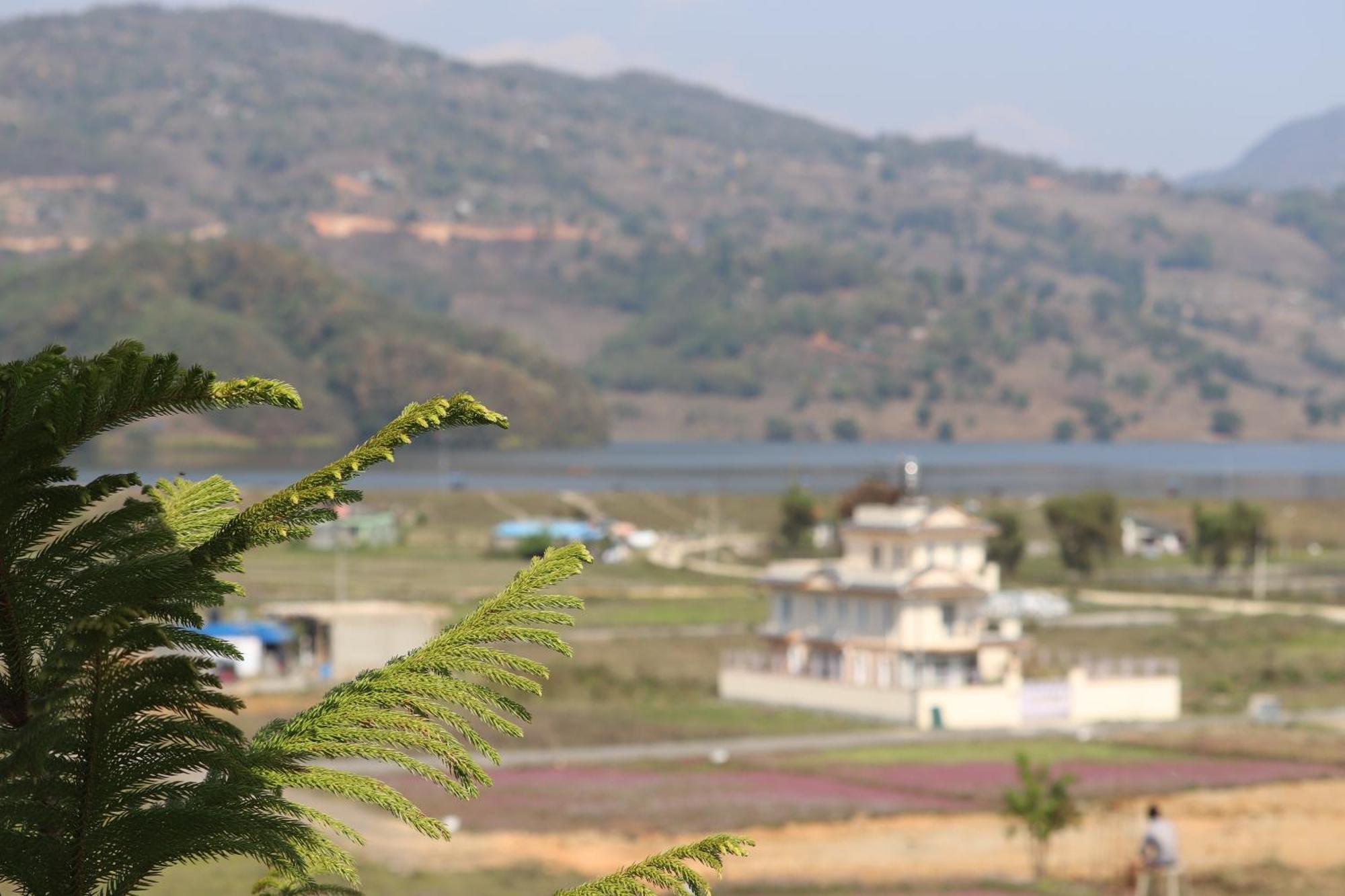 Hotel Young'S Stupa Ranipauwa Exterior photo